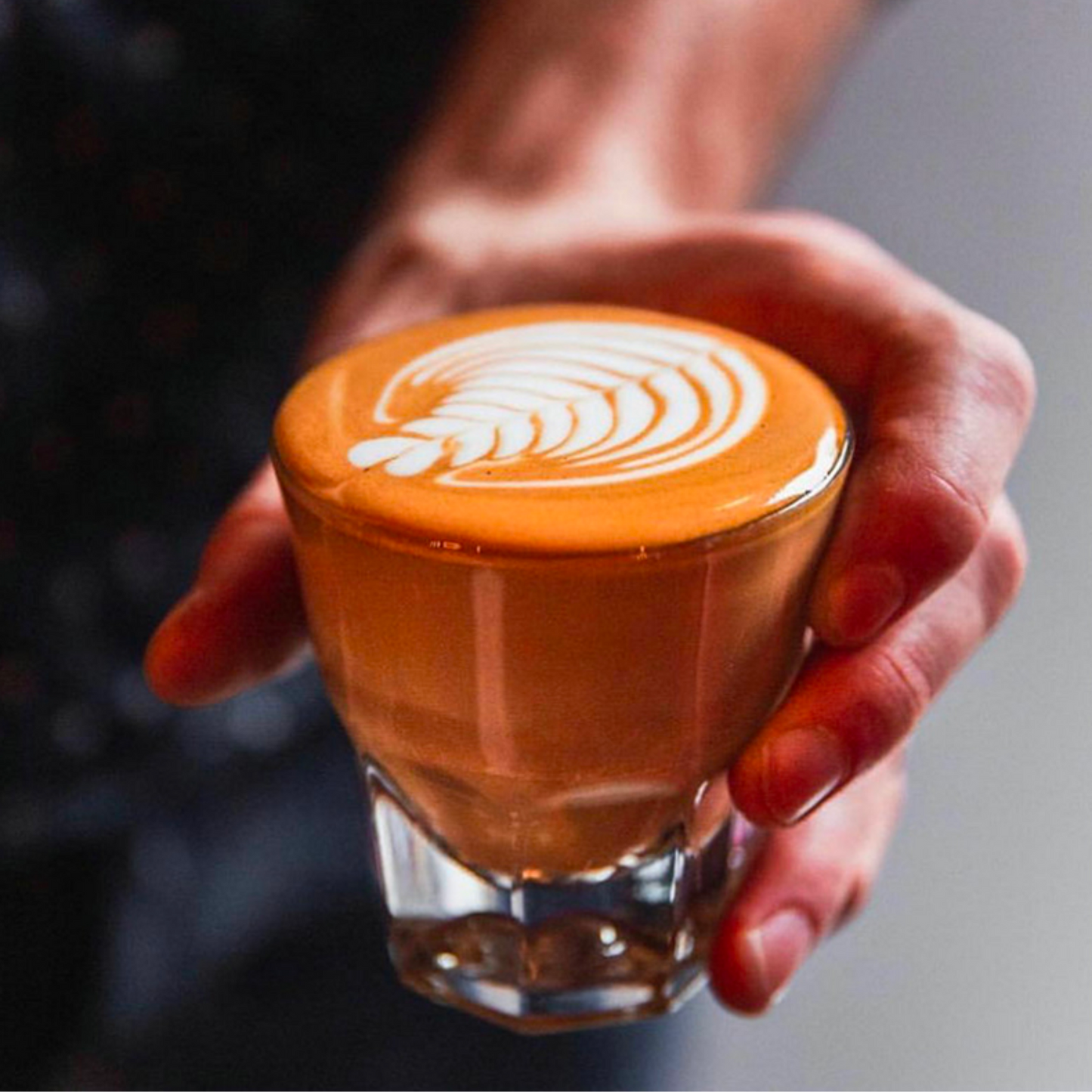 Libbey Duratuff Cortado glasses