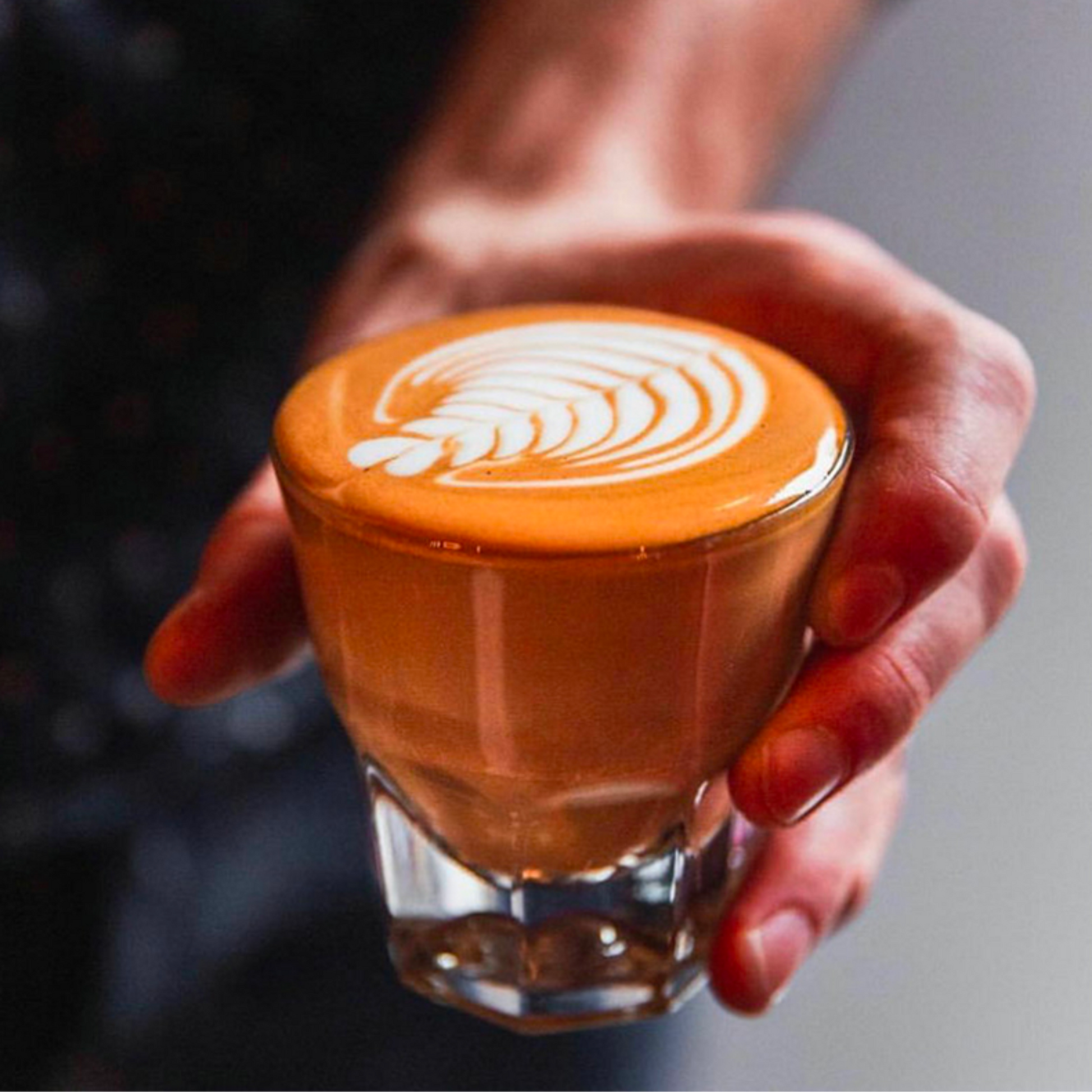 Libbey Duratuff Cortado glasses
