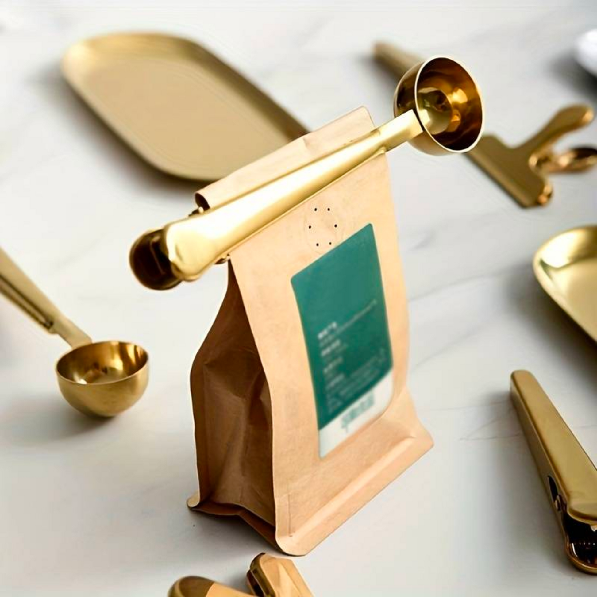 Stainless Steel Measuring Spoon with Sealing Clip | Coffee Beans Scoop