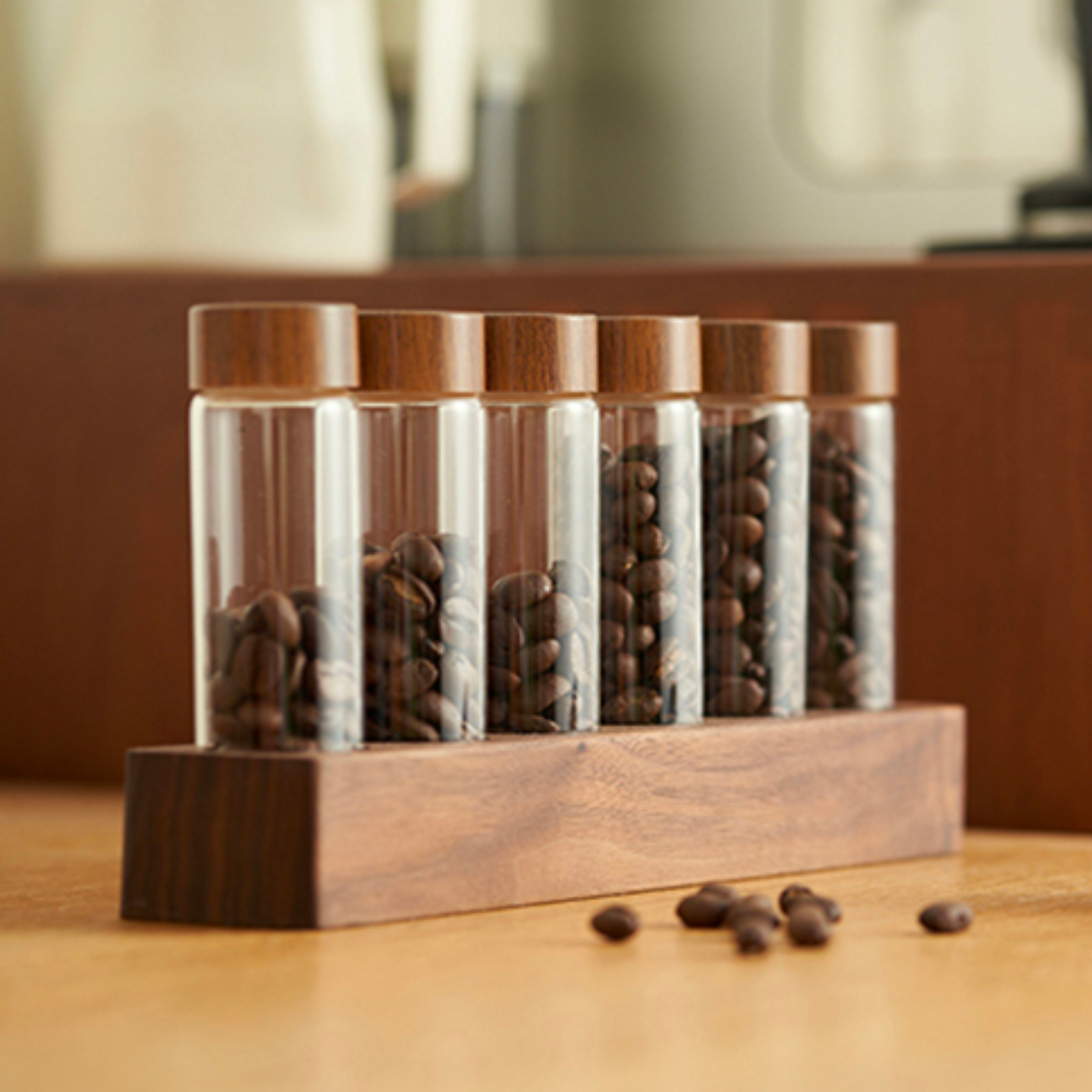 Single Dosing Beans Cellar with Walnut Wood Display Rack