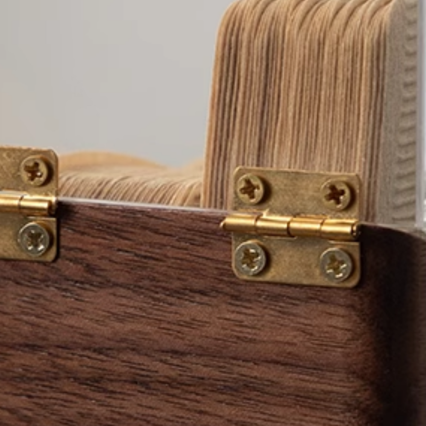 V60 Filters Storage Box