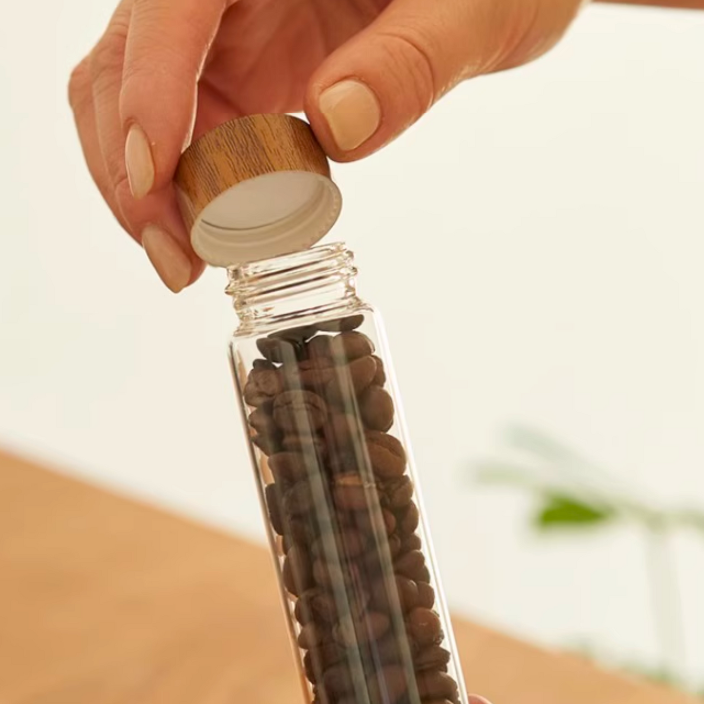 Single Dose Bean Cellar with Walnut Wood Display Rack and Funnel