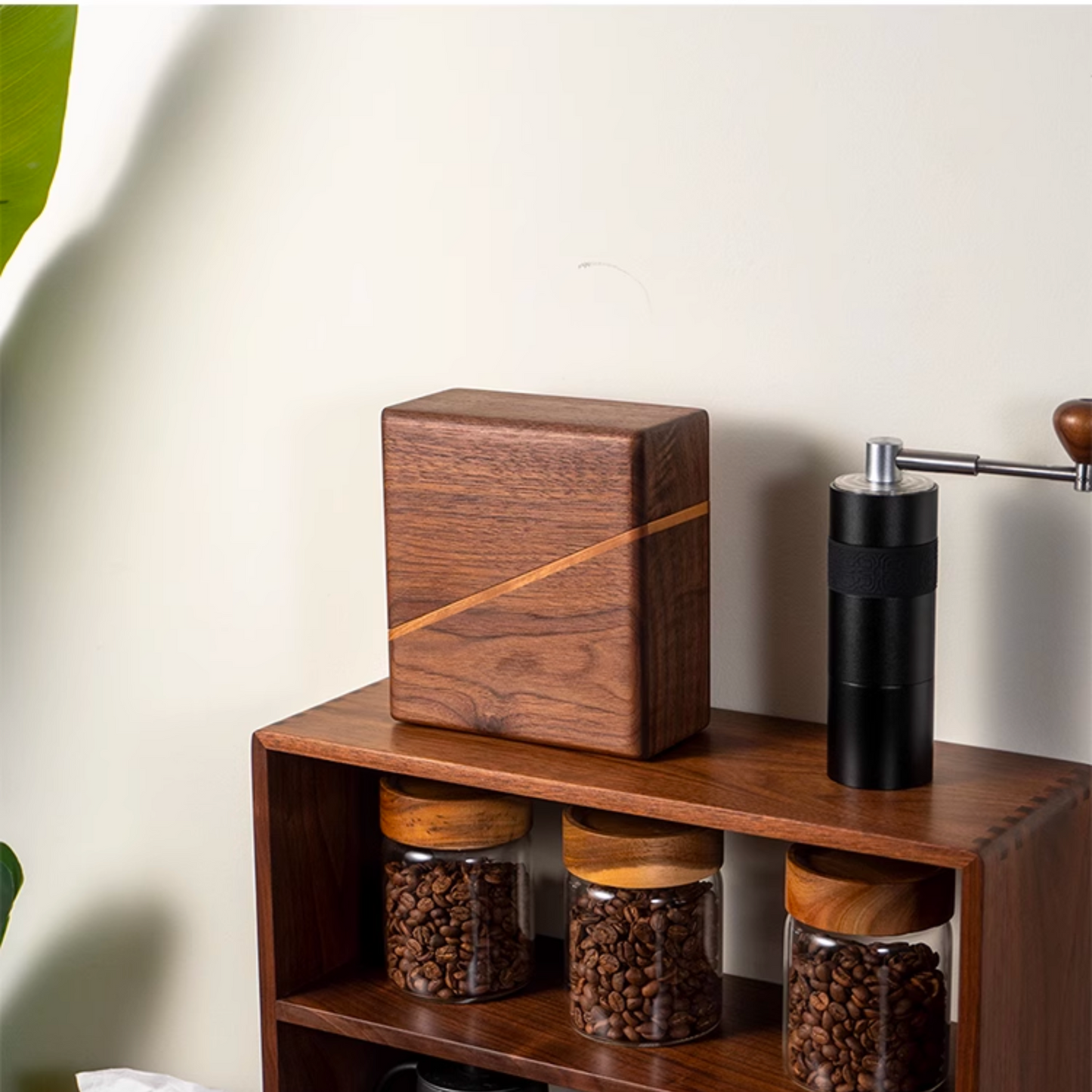 Black Walnut Wood Coffee Filter Holder with Cover