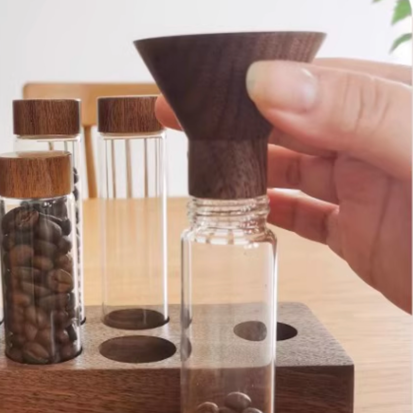 Single Dose Bean Cellar with Walnut Wood Display Rack and Funnel