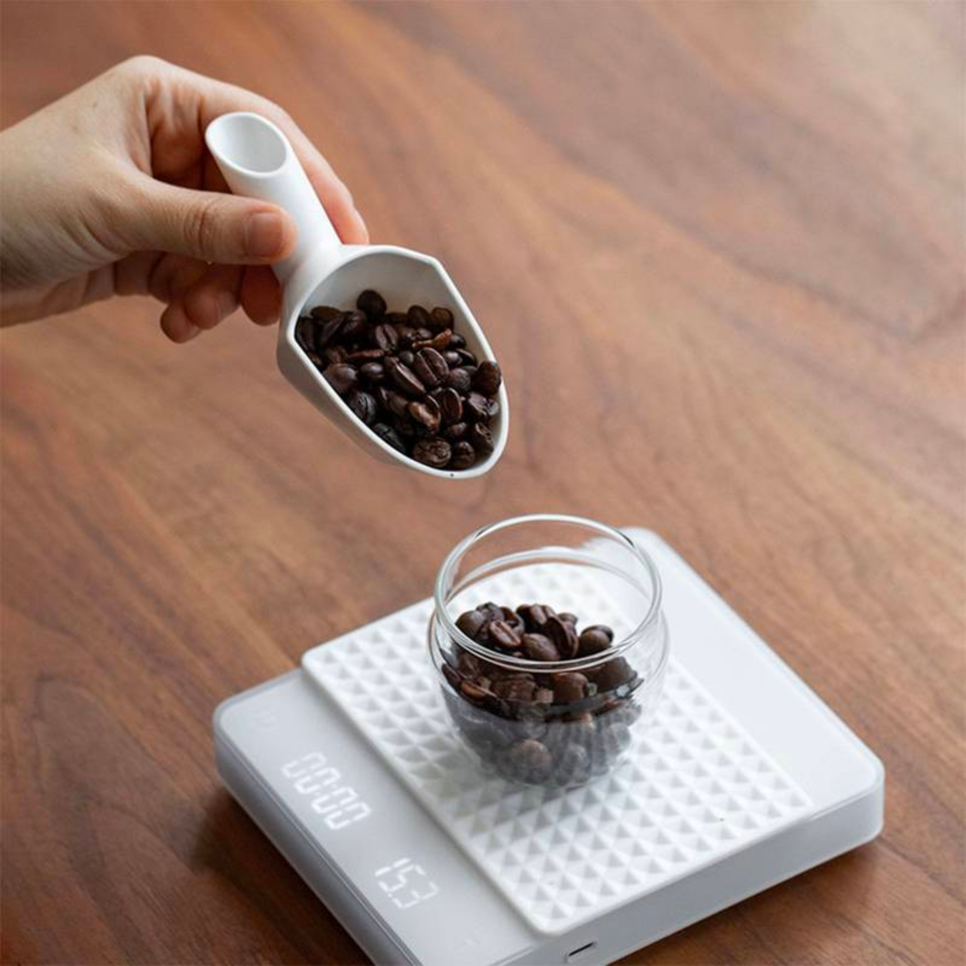Coffee Measuring Spoon Scoop