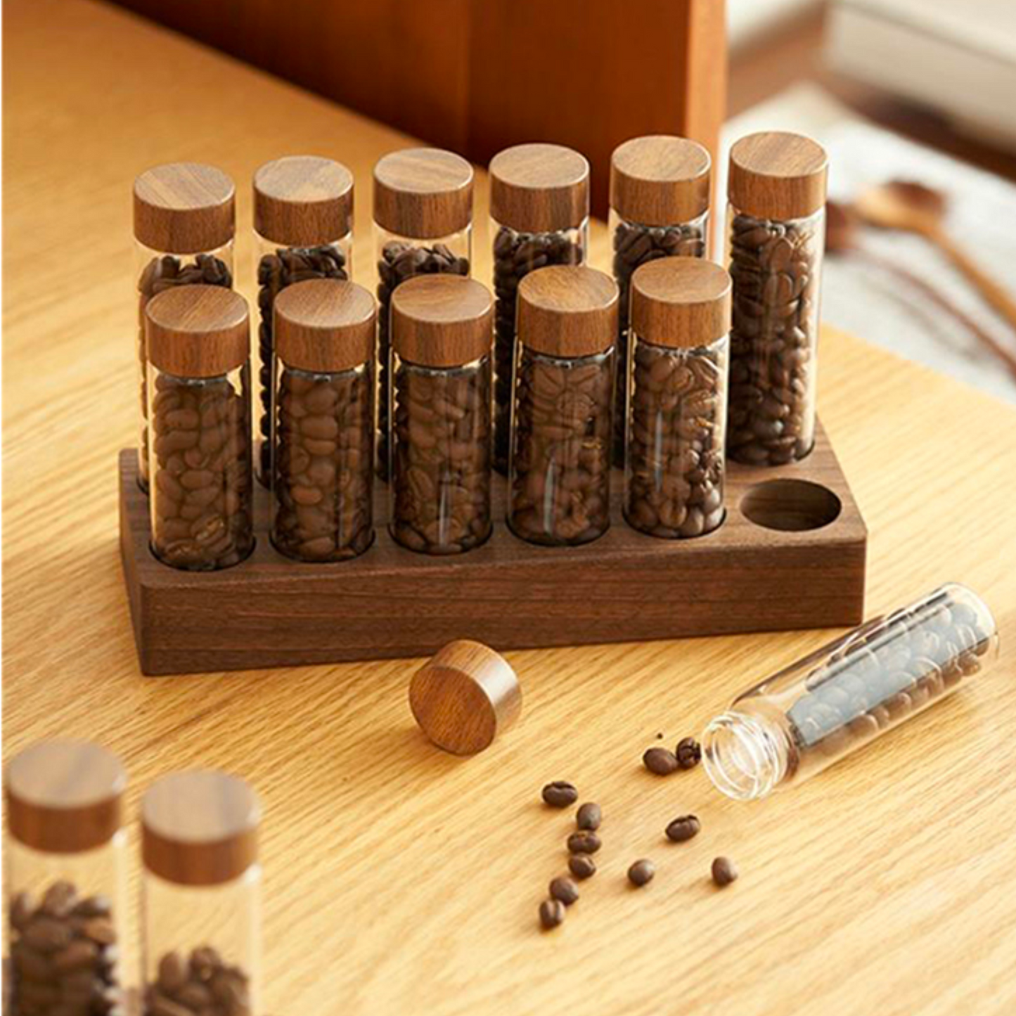 Single Dosing Beans Cellar with Walnut Wood Display Rack
