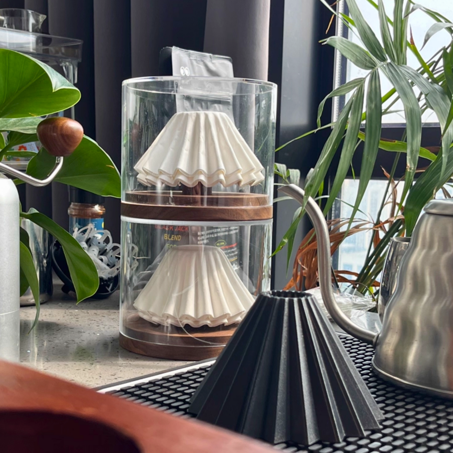 Walnut Wood Wave Paper Filter Holder