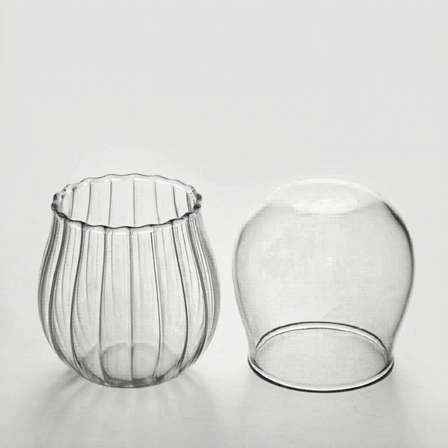 Tulip Glass Tumbler