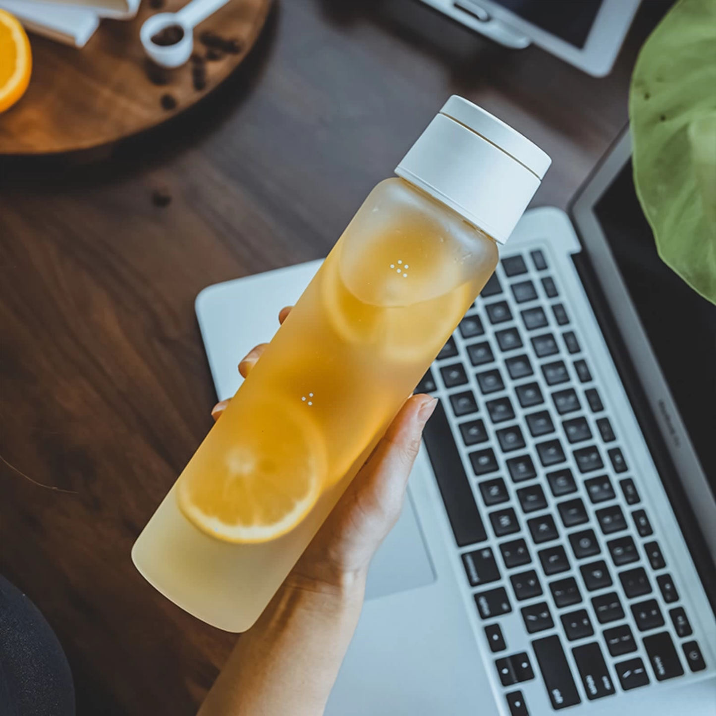 Capsule Glass Cold Brew Coffee Carafe - 550ml